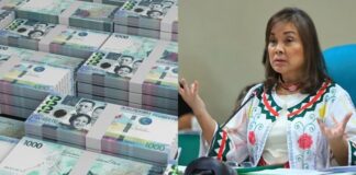 Loren Legarda Seeks Stronger Anti-Corruption System After P2.75 Trillion Economic Loss