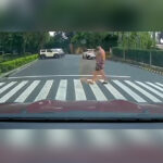 Endangering pedestrians? Drivers could lose their licenses under LTO’s new memorandum