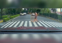 Endangering pedestrians? Drivers could lose their licenses under LTO’s new memorandum