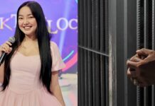 Rosmar Tan Claims She Has Had Several People Jailed Since 2017