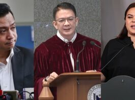Trillanes Expresses Disappointment Over Chiz’s Role in Sara Duterte Impeachment Trial