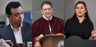 Trillanes Expresses Disappointment Over Chiz’s Role in Sara Duterte Impeachment Trial