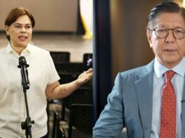 Sara Duterte Still Leads Marcos in Trust & Approval Ratings – Pulse Asia