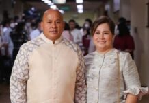 Bato dela Rosa Is “Not the enemy” – Nancy dela Rosa