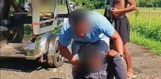 Bread Vendor Injured in Motorcycle Accident After Encountering Unleashed Cow in Aklan