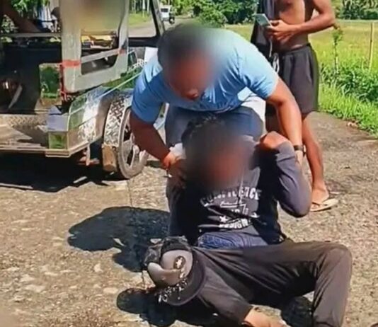 Bread Vendor Injured in Motorcycle Accident After Encountering Unleashed Cow in Aklan