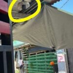CCTV Camera Installed to Monitor Thieves Stolen in Dumangas, Iloilo
