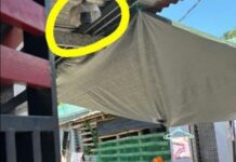 CCTV Camera Installed to Monitor Thieves Stolen in Dumangas, Iloilo