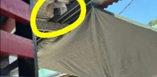 CCTV Camera Installed to Monitor Thieves Stolen in Dumangas, Iloilo