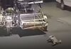 Dog Dragged by Tricycle Along Road in Batangas