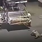 Dog Dragged by Tricycle Along Road in Batangas