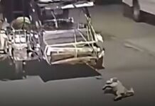 Dog Dragged by Tricycle Along Road in Batangas