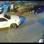 Vehicle of Local TV Station Allegedly Hits Dog & Drives Away