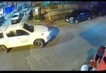 Vehicle of Local TV Station Allegedly Hits Dog & Drives Away