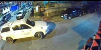 Vehicle of Local TV Station Allegedly Hits Dog & Drives Away