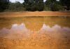 What is a ‘super El Niño’ and how will it affect the weather?