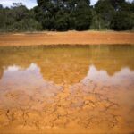 What is a ‘super El Niño’ and how will it affect the weather?
