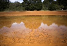 What is a ‘super El Niño’ and how will it affect the weather?