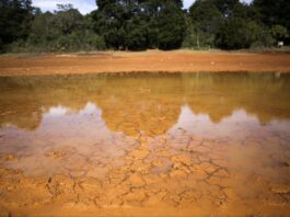What is a ‘super El Niño’ and how will it affect the weather?