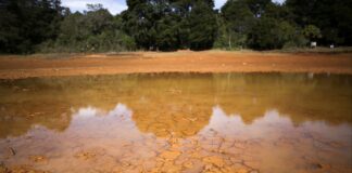What is a ‘super El Niño’ and how will it affect the weather?