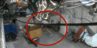 Exhibitionist Arrested for Allegedly Touching Teenage Girl Accompanied by Child