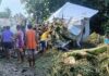 Family Narrowly Escapes as Fallen Tree Destroys House in Lezo