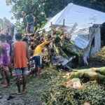 Family Narrowly Escapes as Fallen Tree Destroys House in Lezo