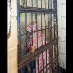 Elderly Grandma & Male Buyer Arrested in Drug Buy-Bust Operation