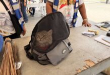 Cat, Cigarettes & Cleaning Materials Confiscated at Manila North Cemetery Entrance
