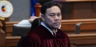 Mark Villar Transfers To Senate Majority Bloc