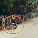 Motorcycle Racer Thrown Several Meters After Hitting Dog in Dumaguete City
