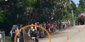 Motorcycle Racer Thrown Several Meters After Hitting Dog in Dumaguete City