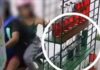 Motorcycle-Riding Pair Caught Stealing Bottled Fuel From Roadside Store in Pangasinan