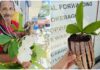 Elderly Orchid Vendor Seeks Buyers After Alleged Unpaid P500 Order