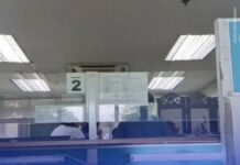 Police Clearance Section Head Removed After Birthday Celebration Delays Public Service