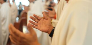 For the first time in 5 years, the number of priests worldwide rose