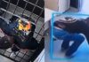 Prisoner in Brazil Escapes Cell by Squeezing Through Narrow Bars