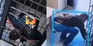 Prisoner in Brazil Escapes Cell by Squeezing Through Narrow Bars