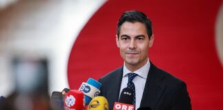 Dutch prime minister expecting first child via surrogate mother