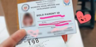Applicant Raises Concerns Over Slow Solo Parent ID & Housing Application Process in Valenzuela