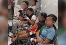 13 Kids, 1 Adult Hospitalized After Eating Toxic Tuba-Tuba Fruit Seen on YouTube